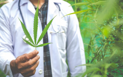 Navigating Cannabis Marketing: What Dispensaries CAN & CAN’T Do in Missouri